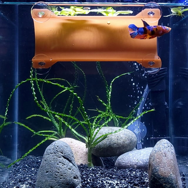 SeeShelter Brand Betta Tunnel in Translucent Terracotta Fish Hide