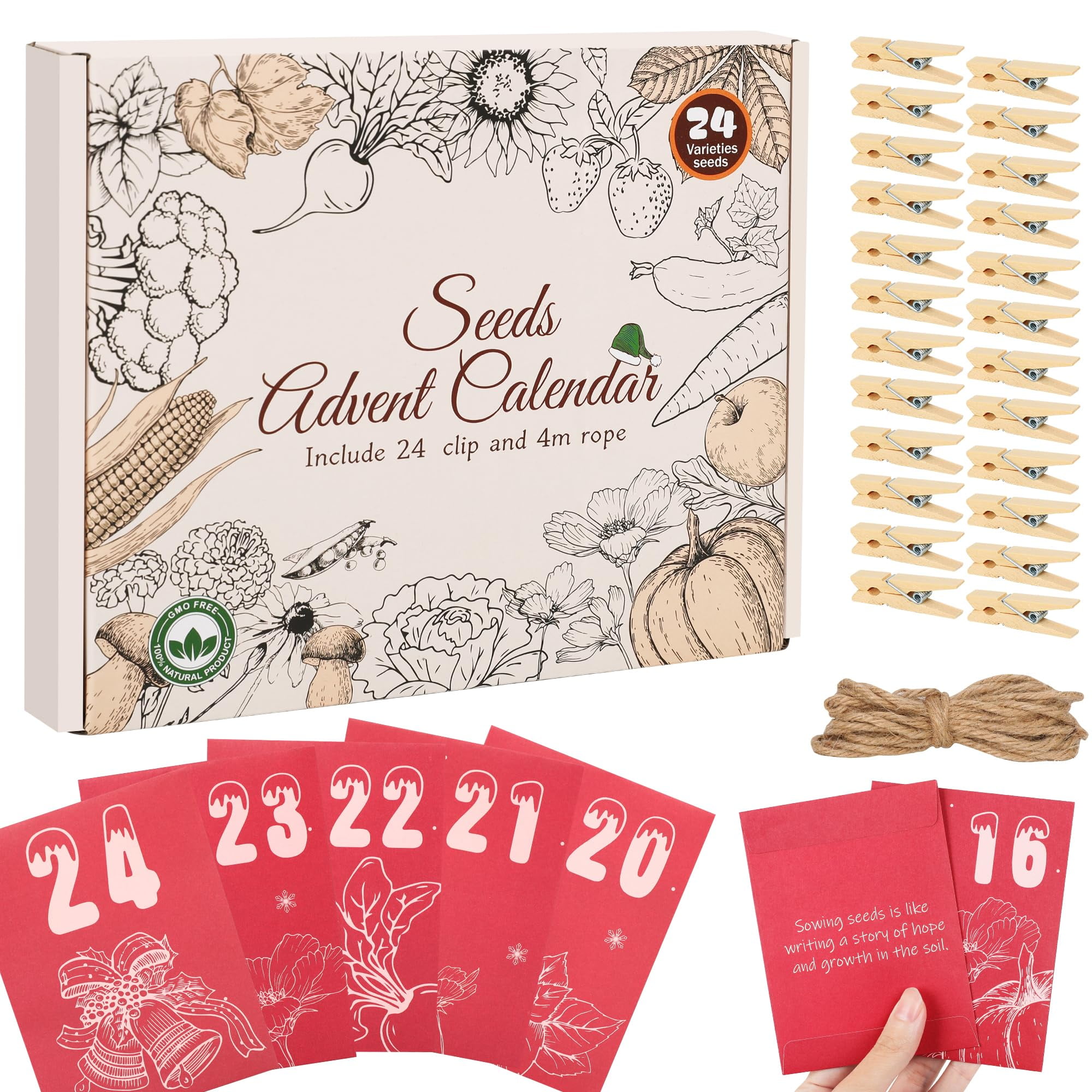 Seed Advent Calendar 202424 DHF10 Various of NonGMO Heirloom Flower