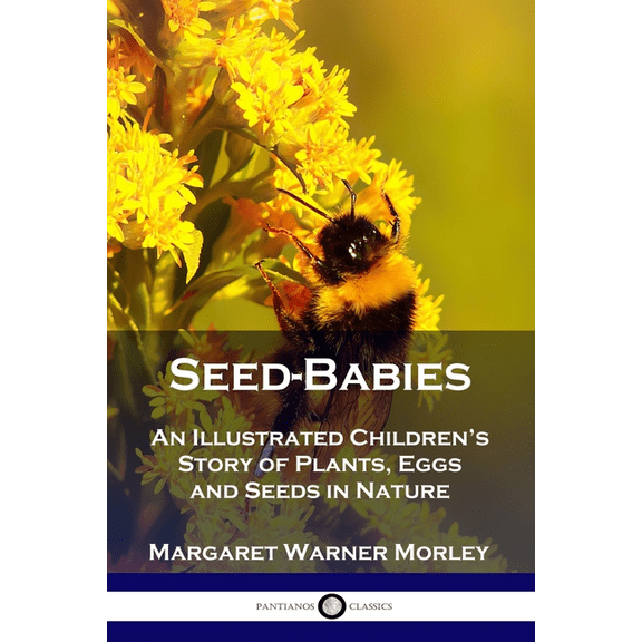 Seed-Babies: An Illustrated Children's Story of Plants, Eggs and Seeds in Nature (Paperback)