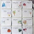 Seed Calendar 2025 Interesting Countdown Calendar From January 2025 To