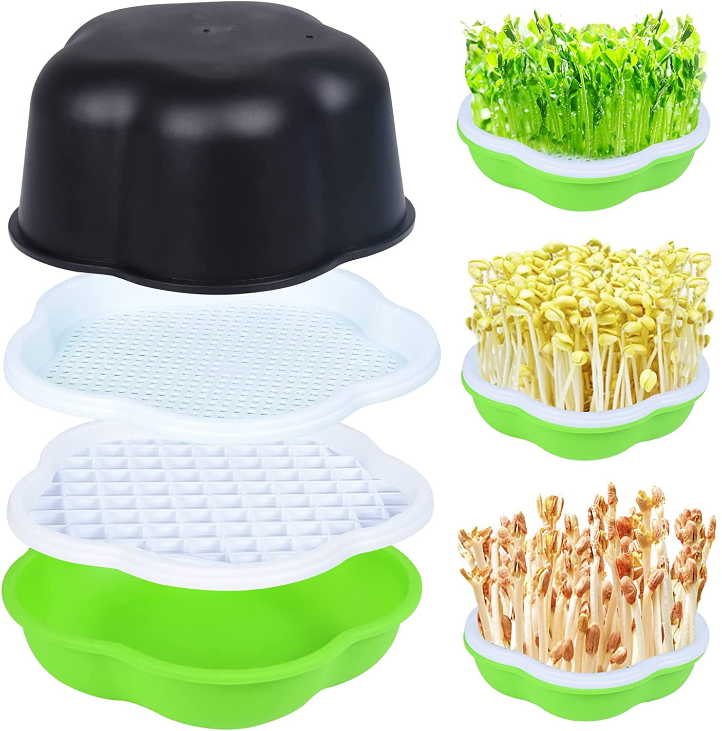 Seed Germination Trays, Seedling Tray Set of 4, Seed Sprouter Hydroponic Germination Greenhouse