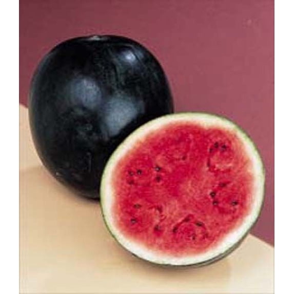 Seed Kingdom 400 Sugar Baby Watermelon Plant Seeds, Compact Vines