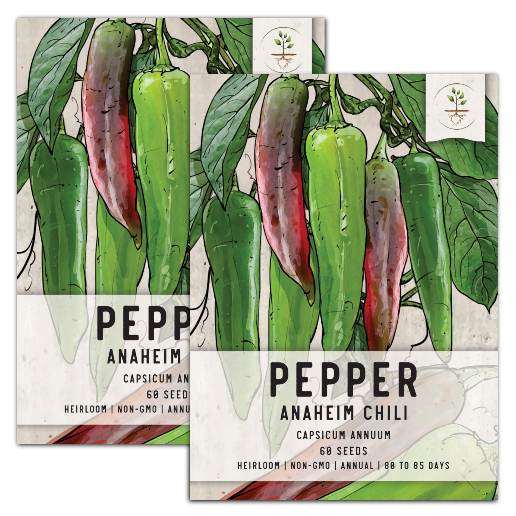 Seed Needs, Anaheim Chili Pepper Seeds For Planting (Capsicum annuum