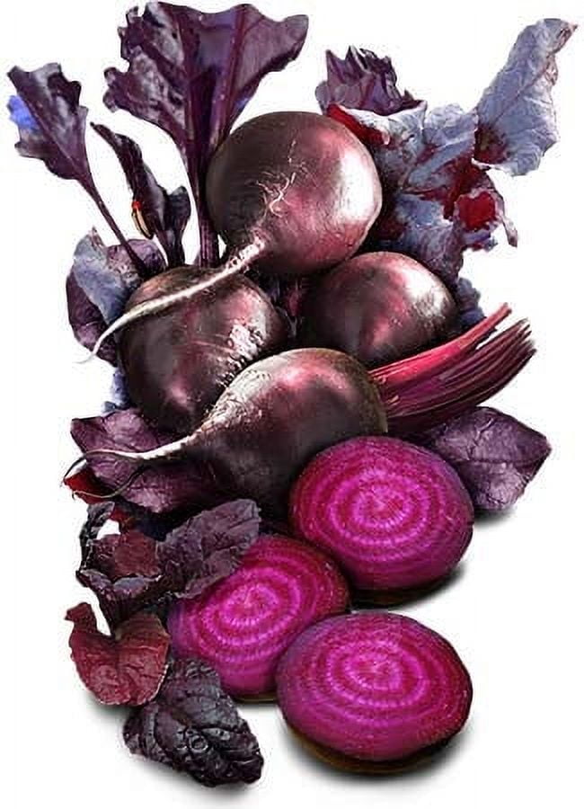 Seed Needs, Bulls Blood Beet Seeds For Planting (Beta vulgaris