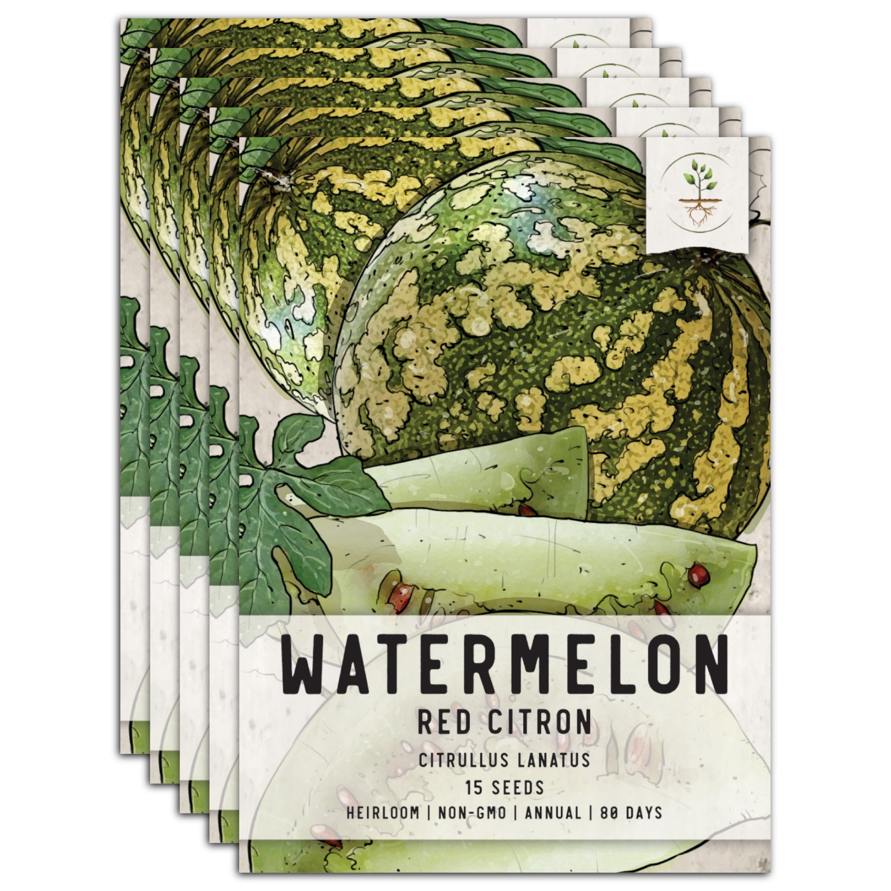Seed Needs, Citron Red Seeded Watermelon Seeds For Planting (Citrullus