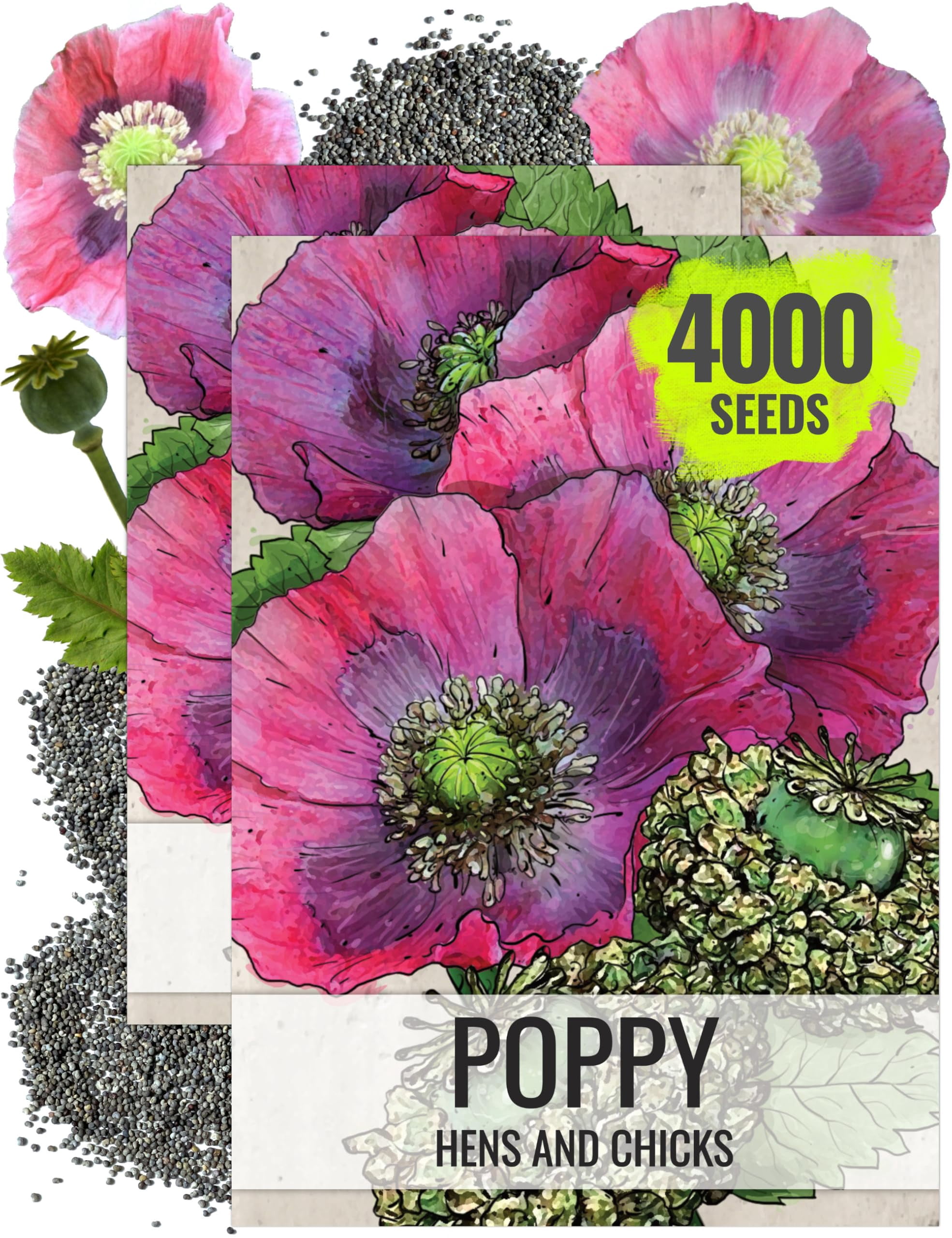 Seed Needs HensITSC & Chicks Poppy Seeds for Planting