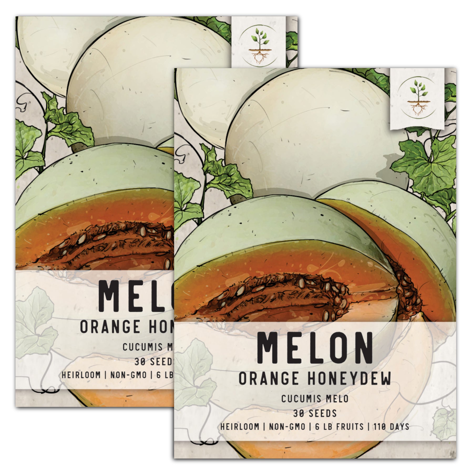 Seed Needs, Orange Honeydew Melon Seeds For Planting (Cucumis melo