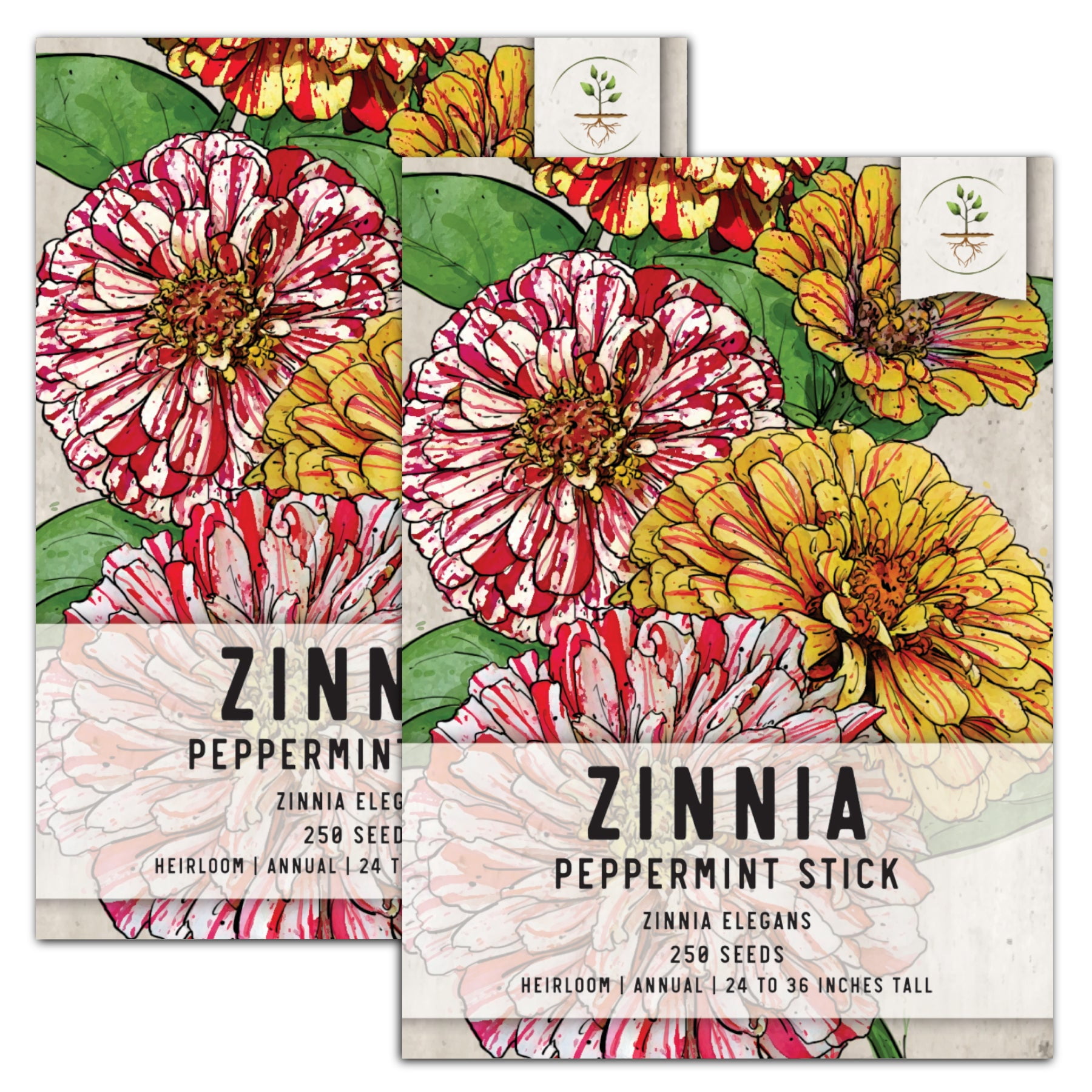 Seed Needs, Peppermint Stick Zinnia Mixture (Zinnia elegans)