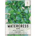 Seed Needs, True Watercress Seeds - 500 Heirloom Seeds for Planting ...