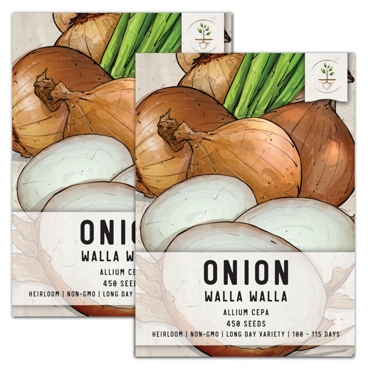 Seed Needs, Walla Walla Onion Seeds For Planting (Allium cepa