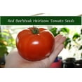 thumbnail image 1 of Seed Pack -Tomato Seeds-Red Beefsteak Heirloom Tomato -20 Seeds - Robust Flavor-All Natural, 1 of 4