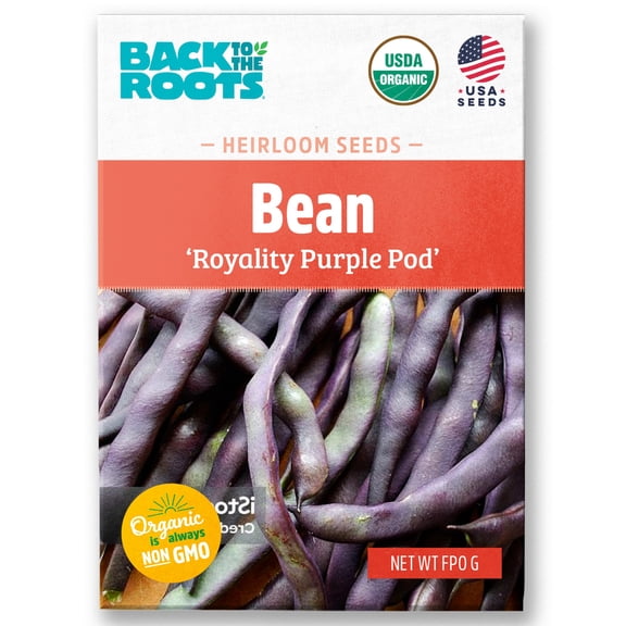 Seed Packet - Bean 'Royal Burgundy' 8.4g