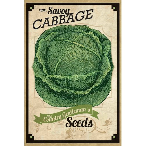 Seed Packet Cabbage' Painting Print on Wrapped Canvas