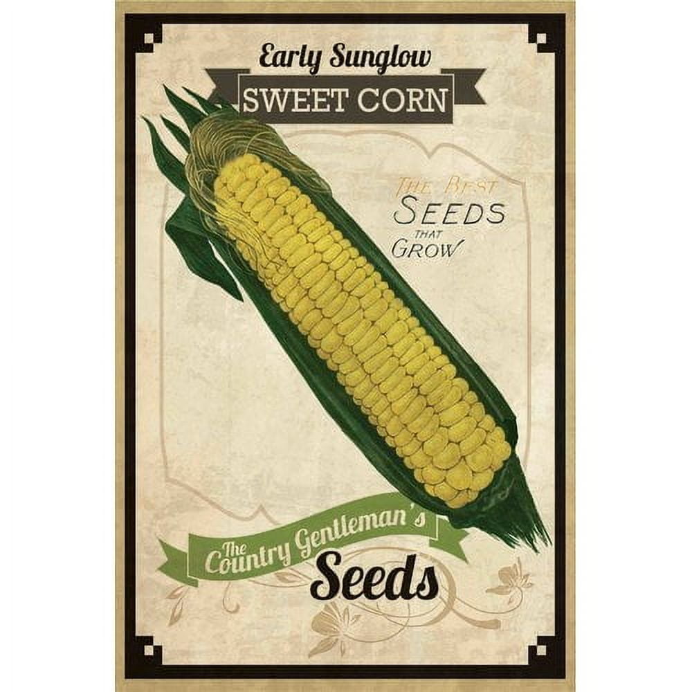 "Seed Packet Corn" Painting Print on Wrapped Canvas