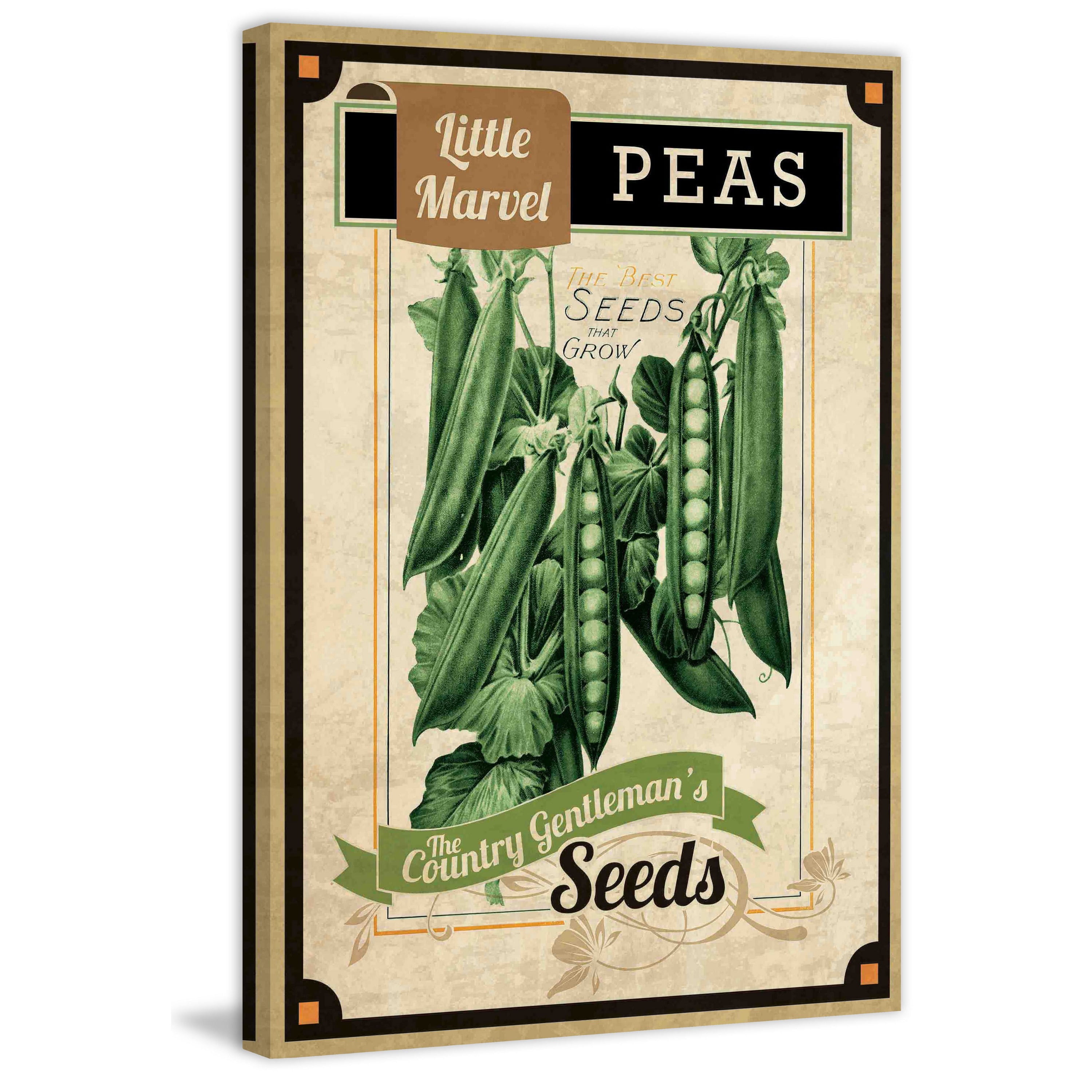"Seed Packet Peas" Painting Print on Canvas