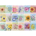 thumbnail image 1 of Seed Packets, 1 of 1