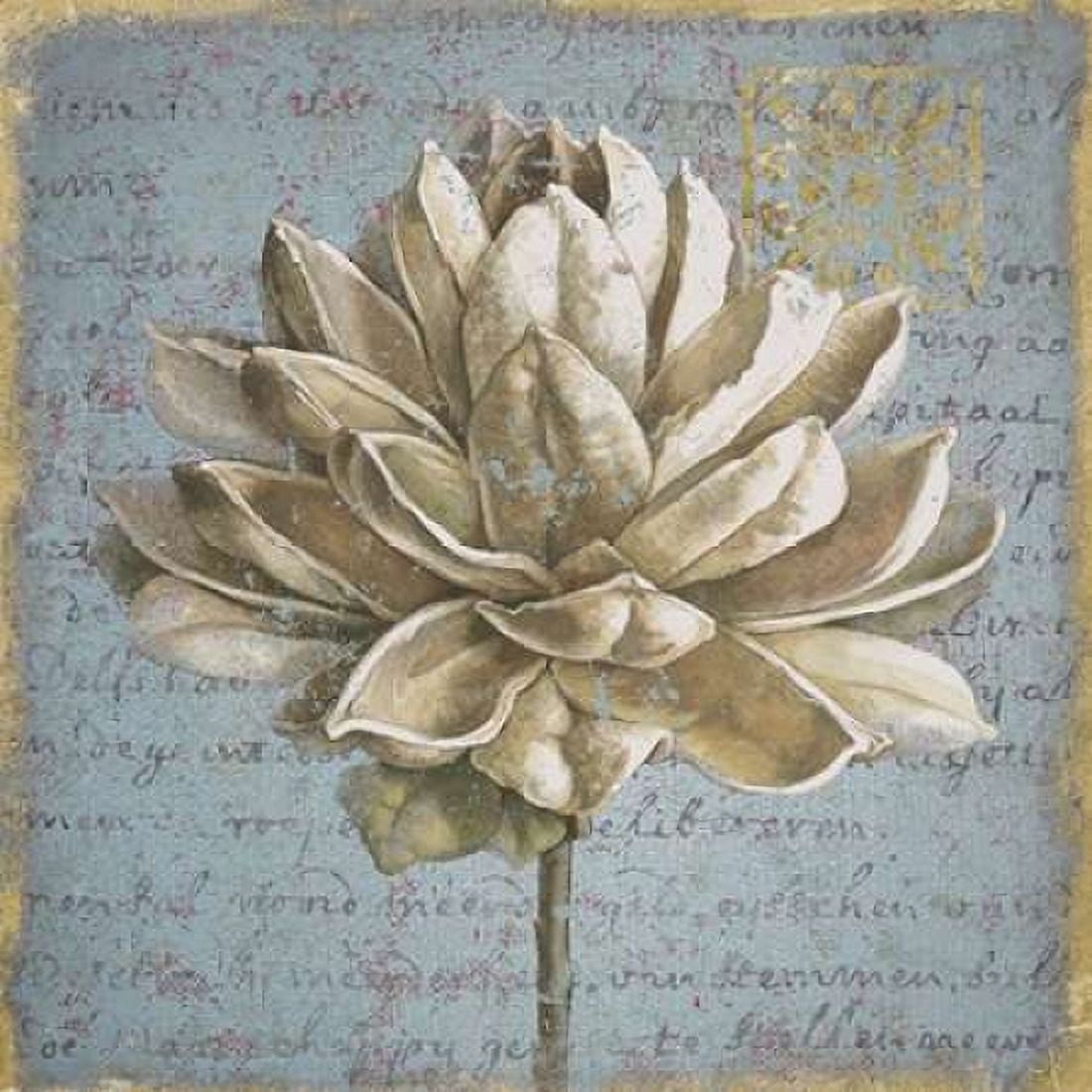 Seed Pod I Canvas Art - Beth Grove (24 x 24)
