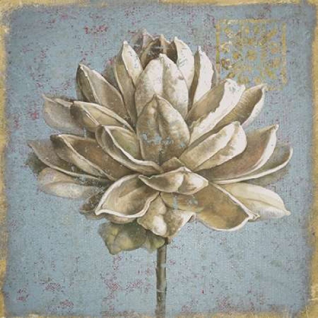 Seed Pod I no Words Canvas Art - Beth Grove (24 x 24)