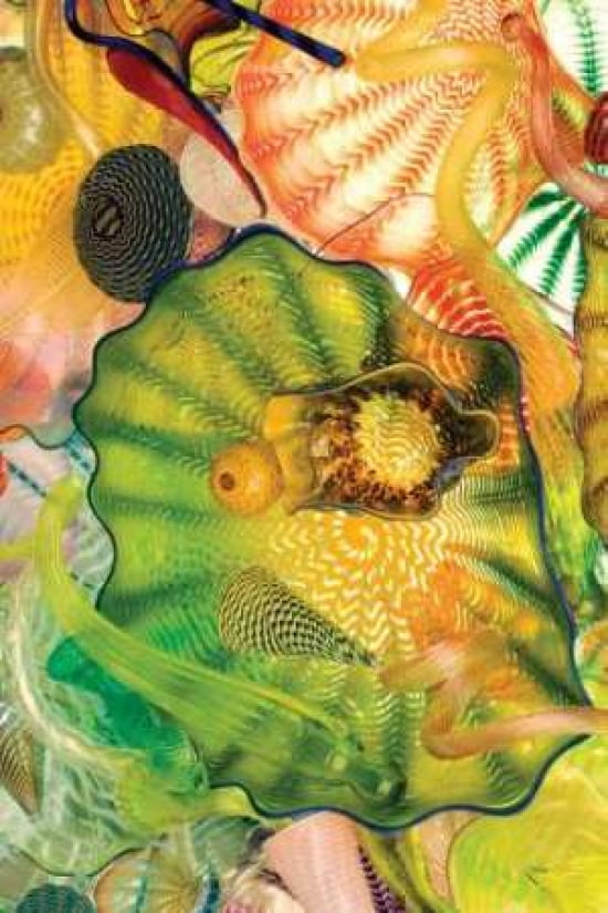 Seed Pod II Canvas Art - Maureen Love (12 x 18)