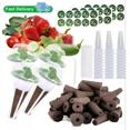 thumbnail image 1 of Seed Pod Kit 121Pcs Hydroponics Garden Accessories Grow Anything Kit Sponge Dome, 1 of 6