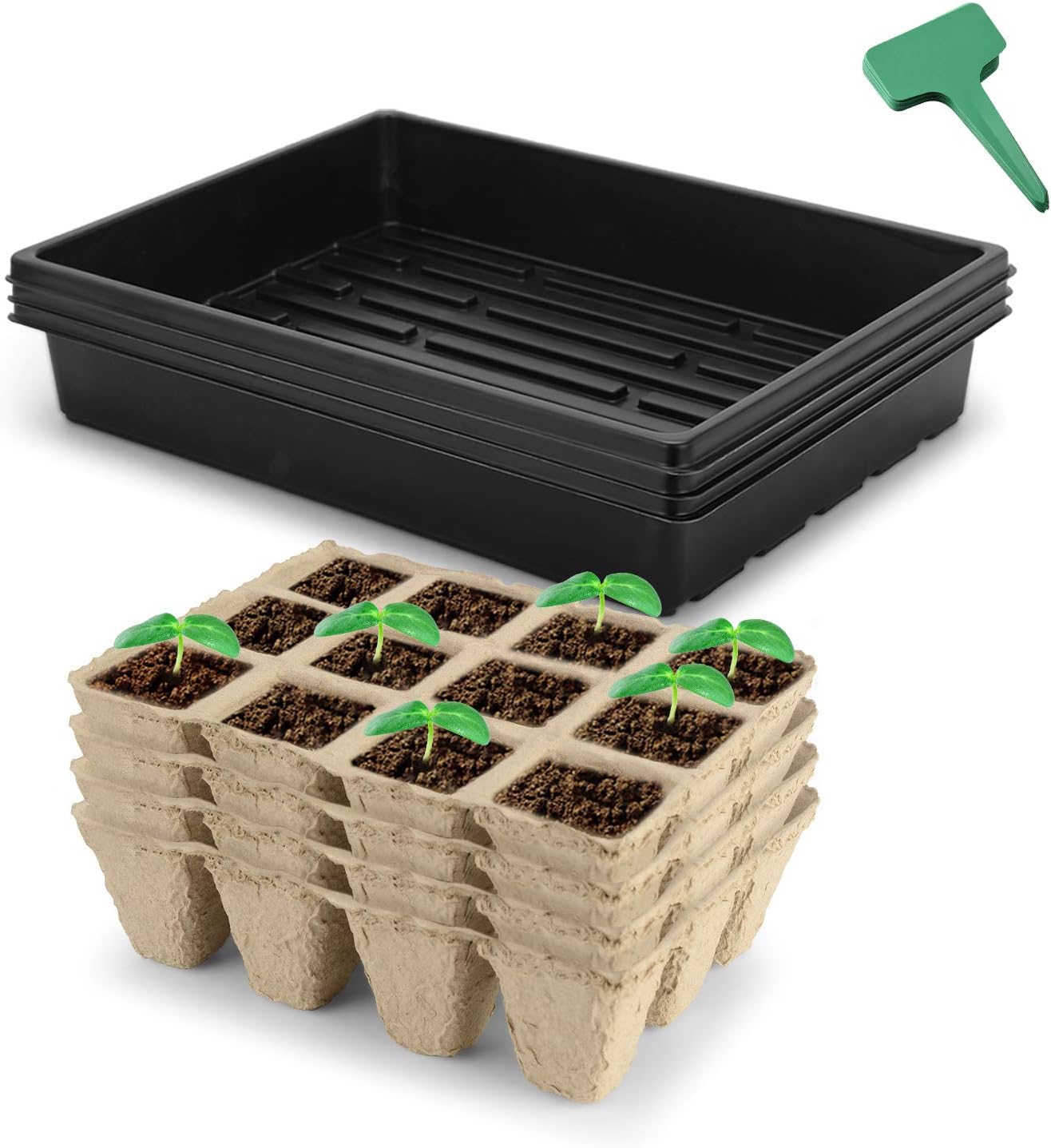 Seed Starter Kit Propagator Plant Grow Kit, Peat Pot Trays,Growing