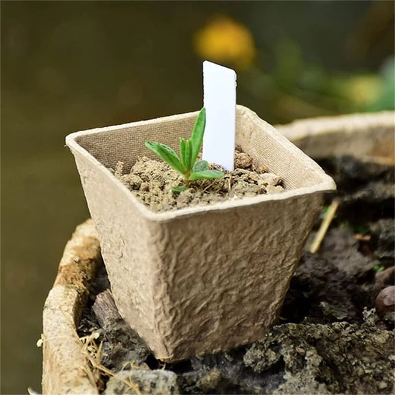 Seed Starter Pot, 12 Pack Nursery Seedling Pulp Cups with Lid, Paper Flowerpot for Seed Starting, Ventilated Seed Cultivation Cup for Planting Propagating, Biodegradable(S)