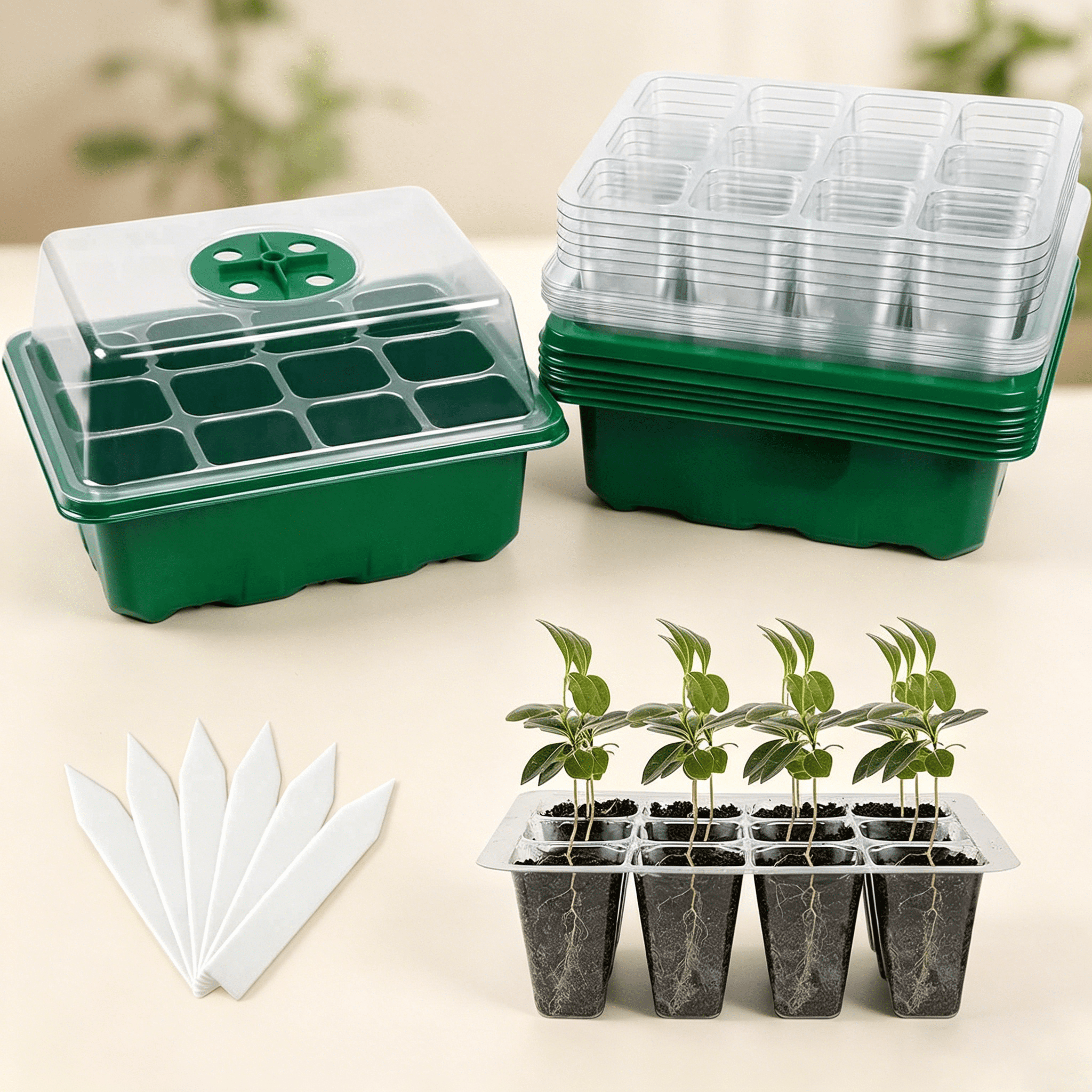 Seed Starter Tray, 6 Set with Adjustable Humidity Dome, Plant Starter Kit for Seeds Growing