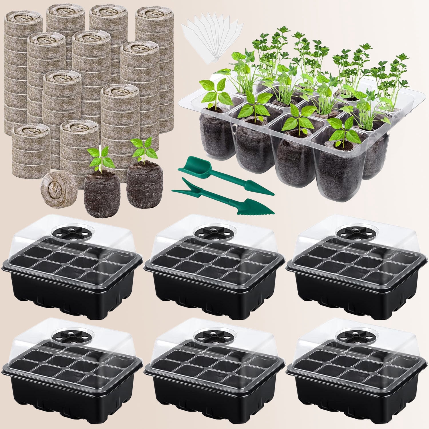 Seed Starter Tray Kit with Humidity Dome and Base, Including Peat Pellets, Plant Labels, Tool, Plastic Trays for Indoor Outdoor, Black