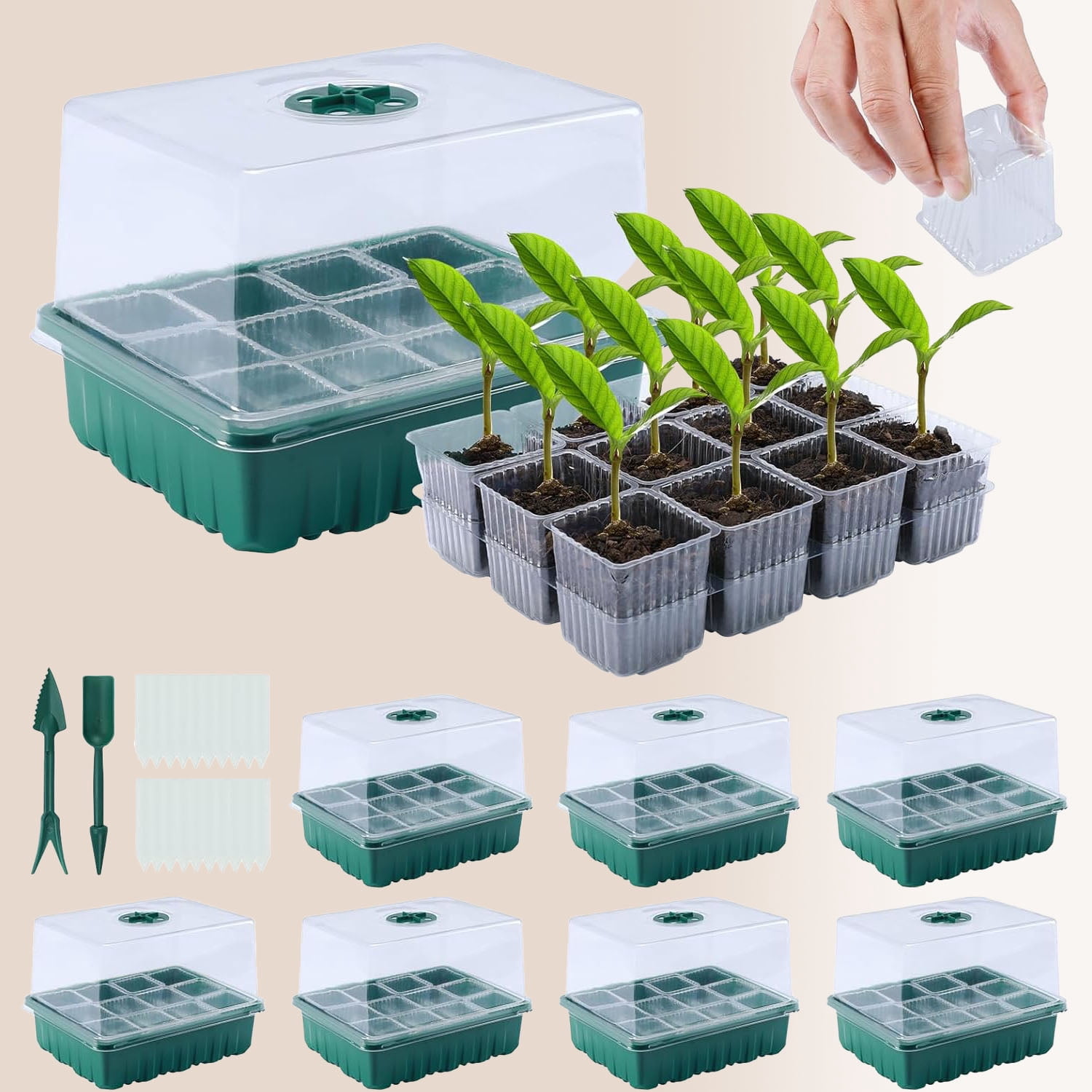 Seed Starter Tray Kit with Humidity Dome and Base, Reusable for Plants Indoor-Clear