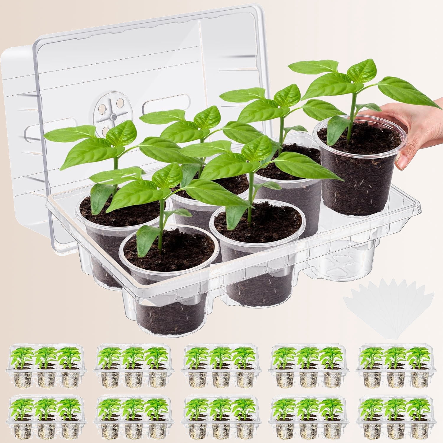 Seed Starter Tray Kit with Nursery Pots and Humidity Dome for Plant Germination