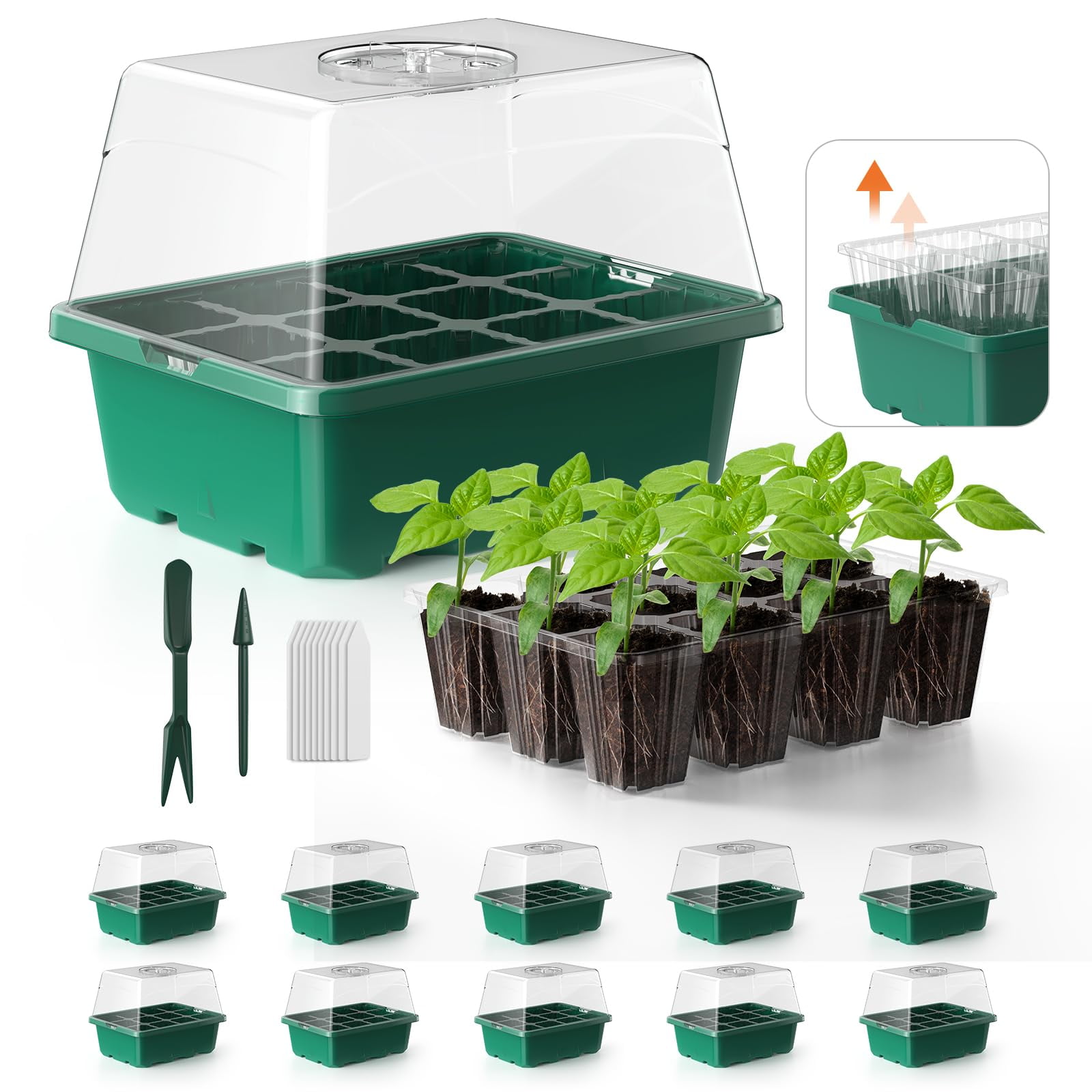 Seed Starter Tray,with Heightened Lids,Indoor Gardening Plant Germination Trays (12 Cells) 10PCS