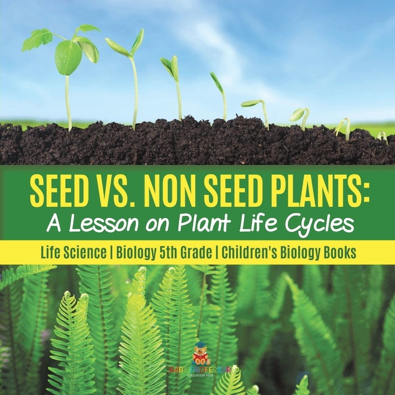 Seed vs. Non Seed Plants A Lesson on Plant Life