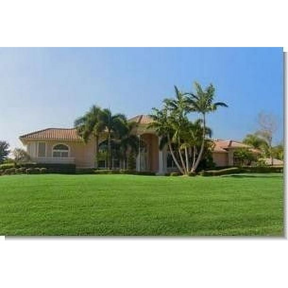 SeedRanch Argentine Bahia Lawn Grass Seed - 5 Lbs.