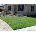 thumbnail image 1 of SeedRanch Centipede Grass Seed (Raw)  - 20 Lbs., 1 of 1