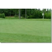 SeedRanch Creeping Bentgrass Seed - 1 Lb.