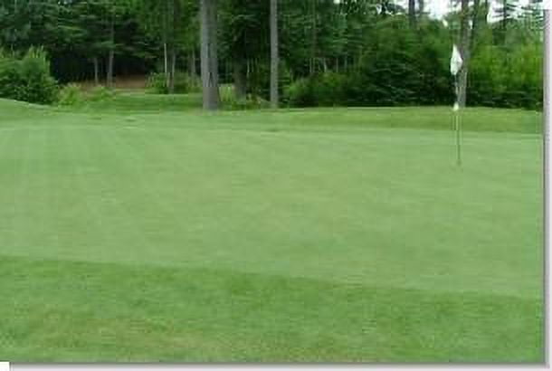 SeedRanch Creeping Bentgrass Seed - 5 Lbs.