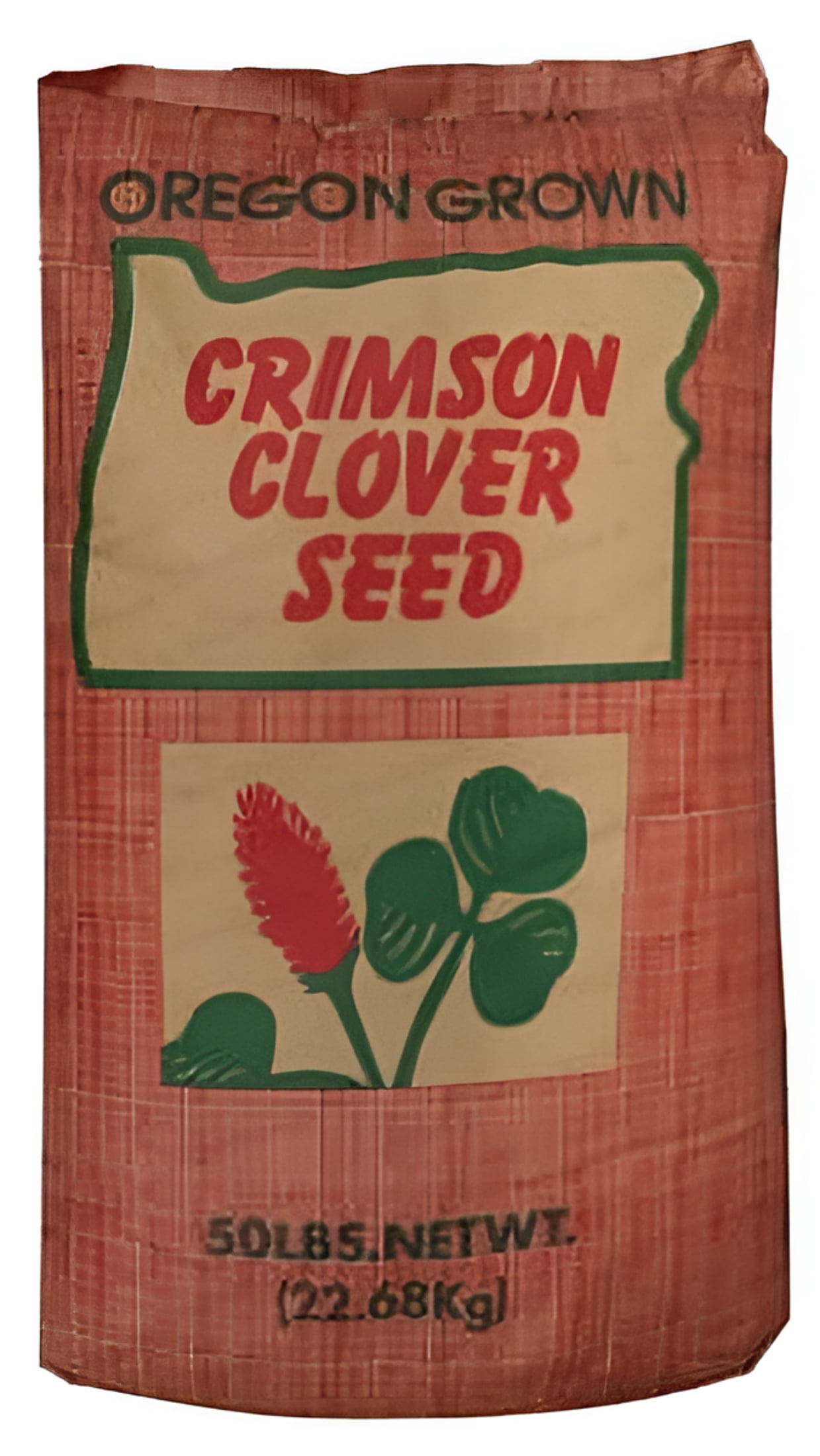 Pennington Dixie Crimson Clover/ Trifolium incarnatus Flower Seed