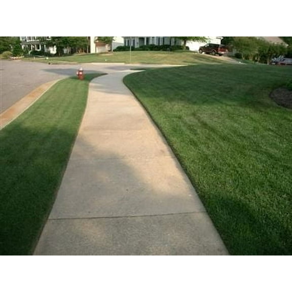 SeedRanch Kentucky Bluegrass Seed - 1 Lb.