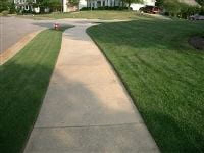 SeedRanch Kentucky Bluegrass Seed - 10 Lbs.