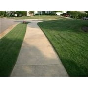 SeedRanch Kentucky Bluegrass Seed - 10 Lbs.