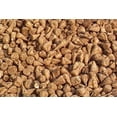 thumbnail image 1 of Dibbs Seed 10000 Sugar Beet Seeds, Excellent for Wildlife Deer Food, 1 of 1