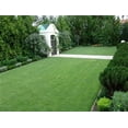 thumbnail image 1 of SeedRanch Zoysia Certified Grass Seed - 1 Lb., 1 of 1