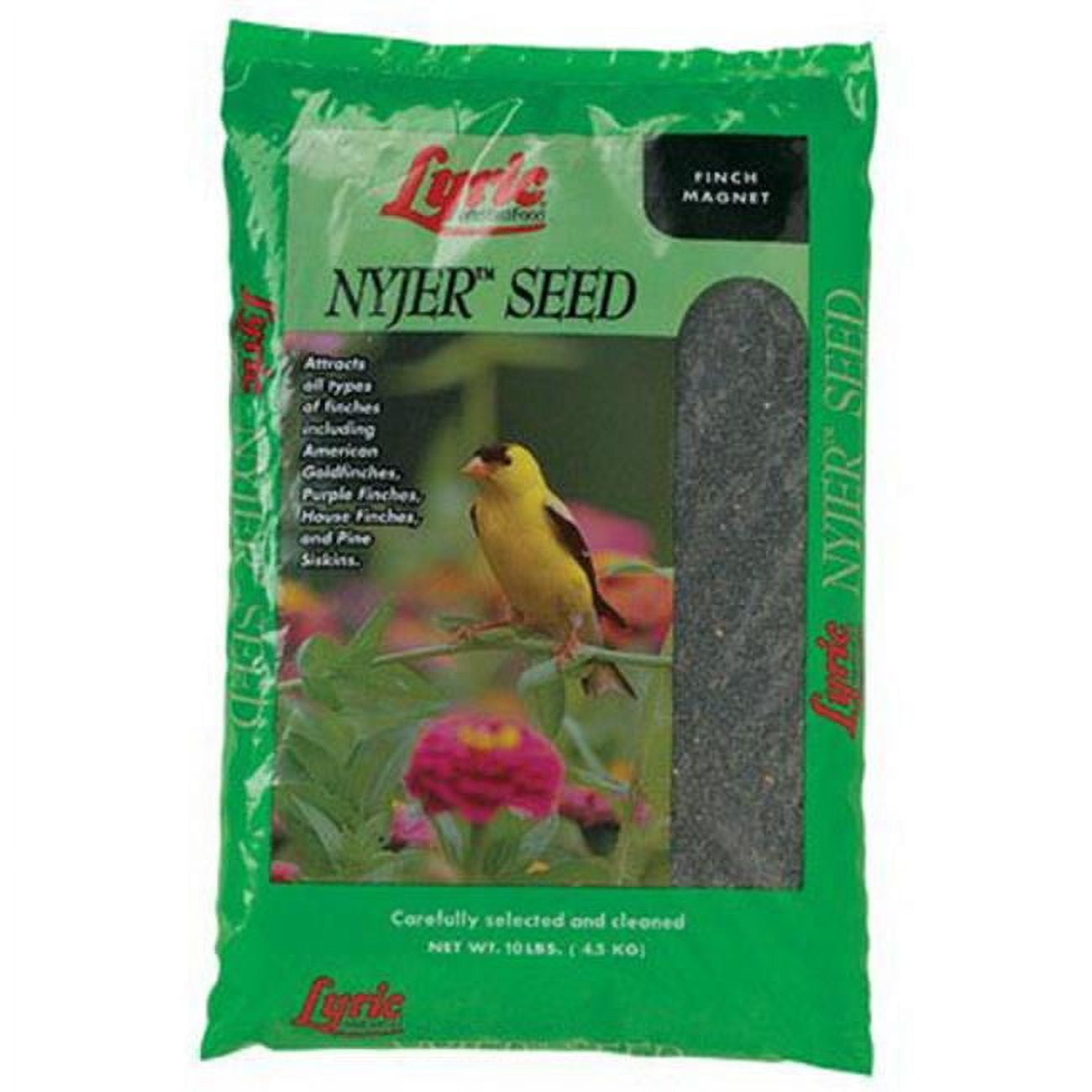 Seed