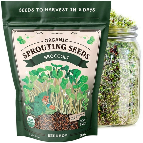 Seedboy Organic Non-GMO Broccoli Seeds for Sprouting, USA Grown, 8 oz