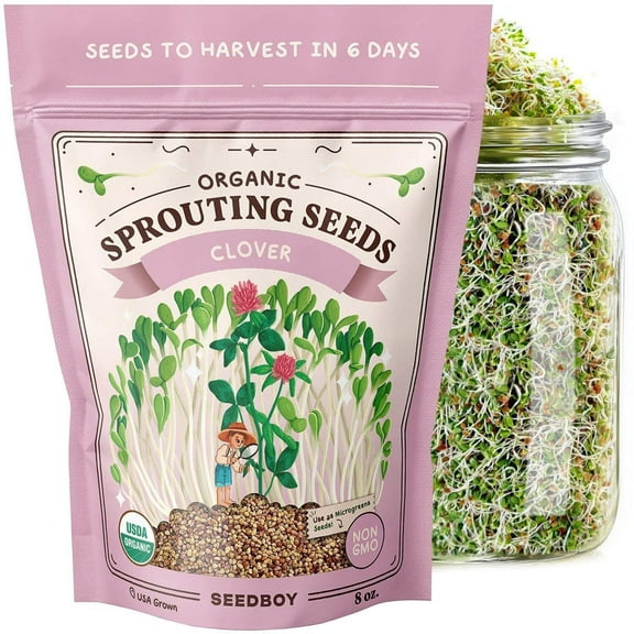Seedboy Organic Non-GMO Red Clover Seeds for Sprouting, USA Grown, 8 oz