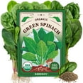 thumbnail image 1 of Seedboy Organic Spinach Seeds for Planting Indoor and Outdoor, Non-GMO and USDA Certified Vegetable Seed Packet for Hydroponic Garden Indoor or Planting Outdoors (Bloomsdale Spinach), 1 of 6