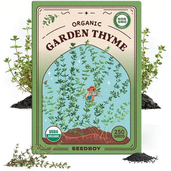 Seedboy Organic Thyme Seeds for Planting Indoor and Outdoor, Non-GMO and USDA Certified Herb SeedĀ PacketĀ for Hydroponic Garden Indoor or Planting Outdoors (Thyme)