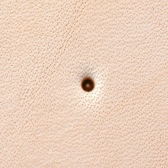 Leather Stamping Tool, Seeders, Dot