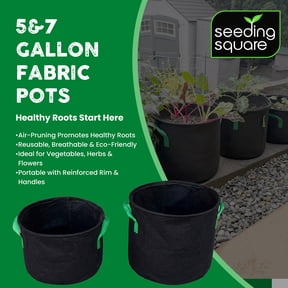 Seeding Square Fabric Grow Bags (5 Gallon-5 Pack) Durable, Reusable Air-Pruning Plant Pots for Vegetables, Fruits & Herbs Eco-Friendly Breathable Planter Bags for Healthy Roots & Bigger Harvests