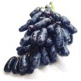 Seedless Grape Plant ,Grape Vine Plant,Live Grape Tree , Live for